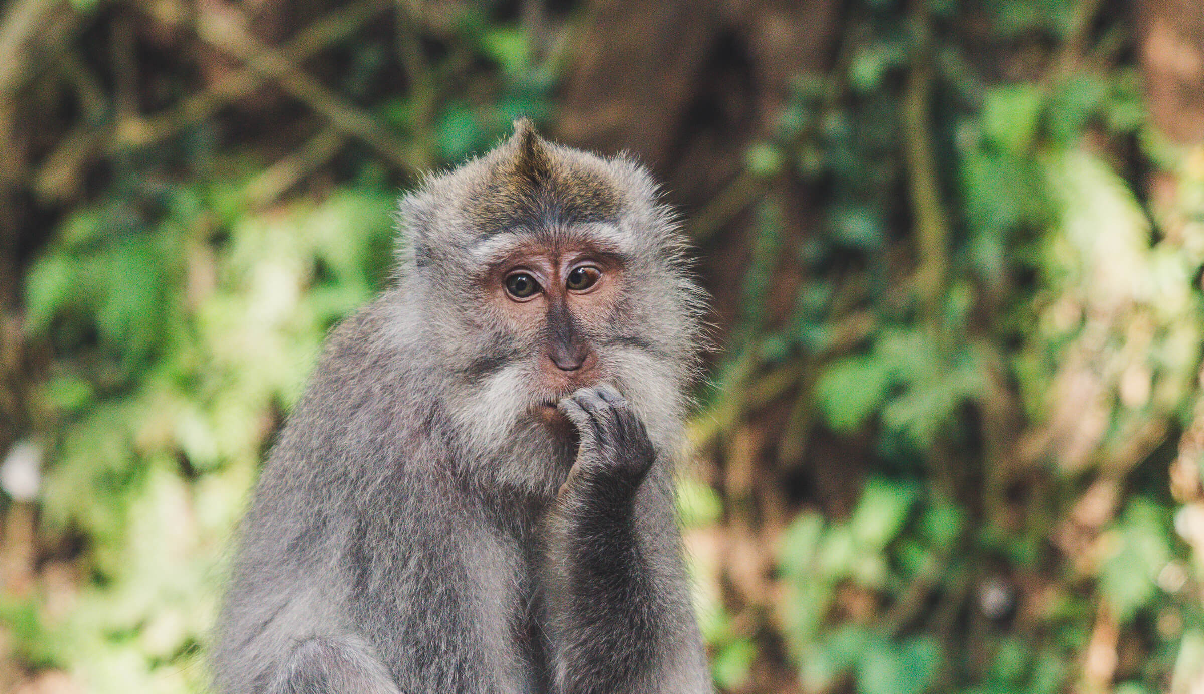 Tone of voice should feel natural