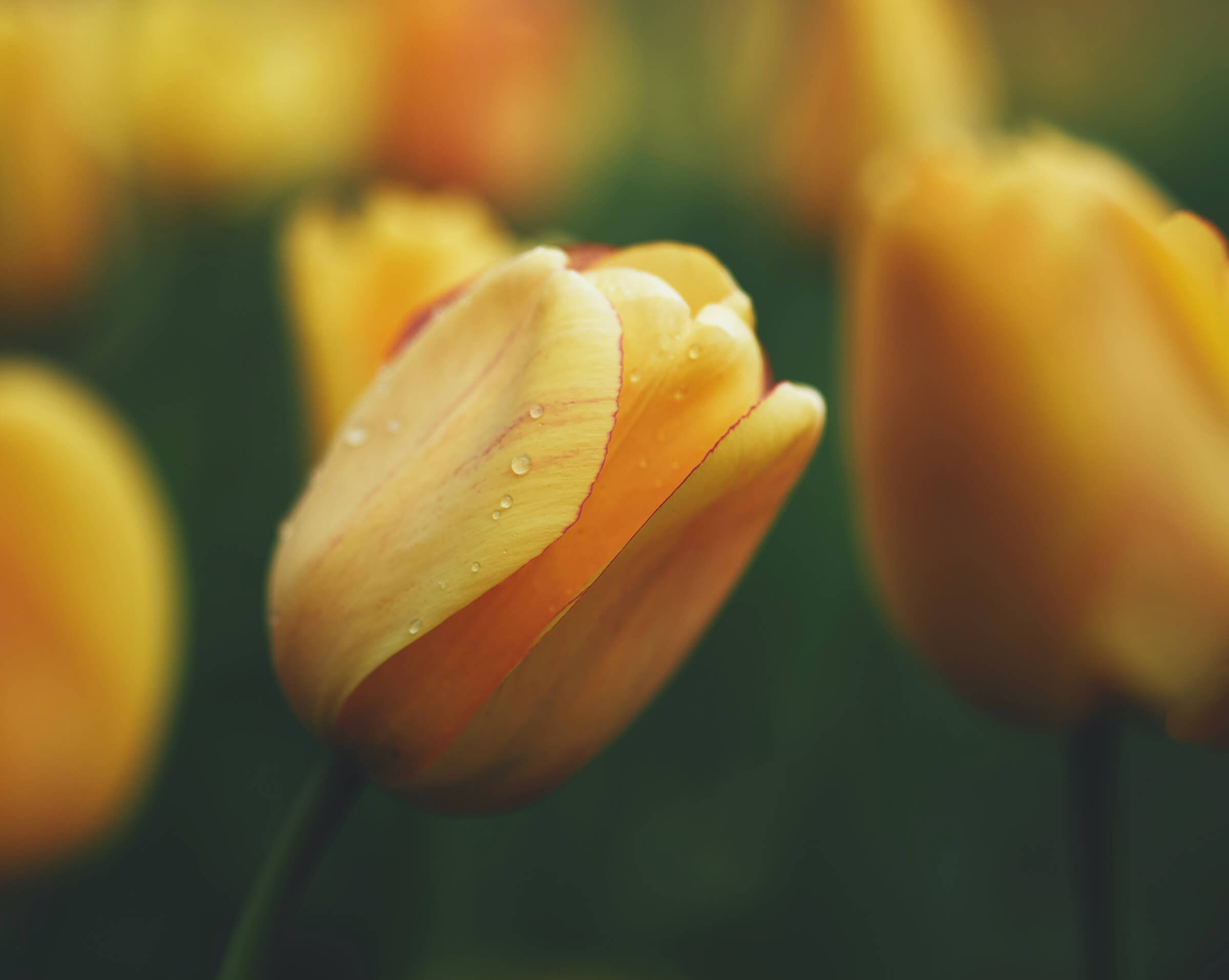 brand naming already existing